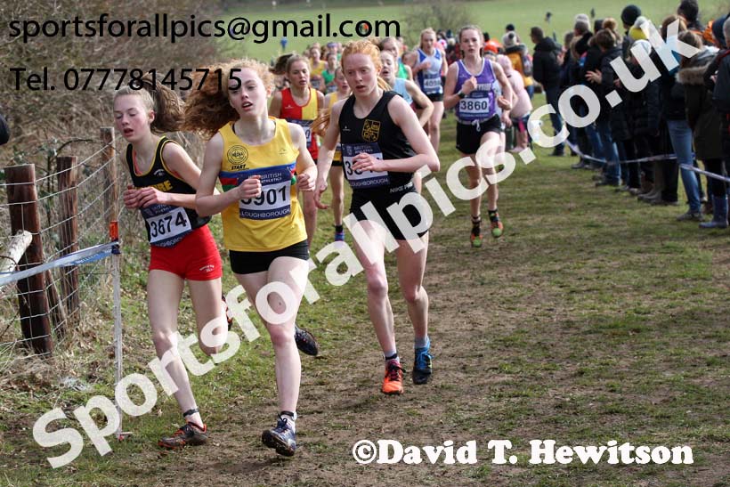 Girls under-15s 2019 British Athletics Inter Counties Cross Country, Prestwood Hall, Loughborough. Photo:  David T. Hewitson/Sports for All Pics
